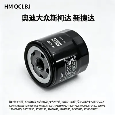 Oil Filter Element for Volkswagen, Audi and Skoda Cars