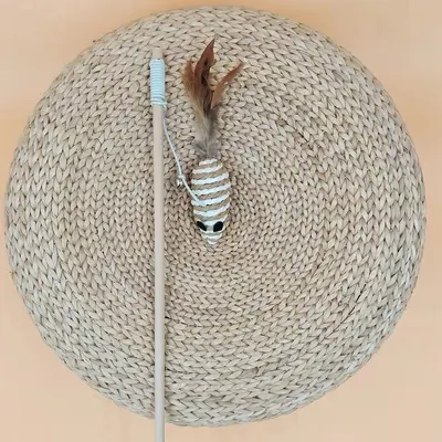 Feather Teaser Wand with Bell and Wooden Stick for Cats - 13