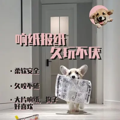 Squeaky Dog Toy, Bite-Resistant, Noisy Paper Toy - 4