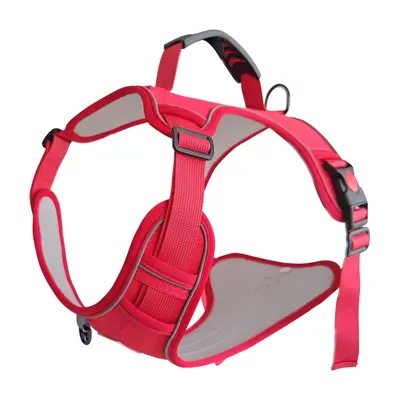 Adjustable Dog Harness with Retractable Leash for Pets - 9