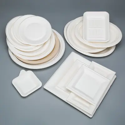 Disposable Eco-Friendly Paper Plates, Square and Oval, Picnic and BBQ - 3