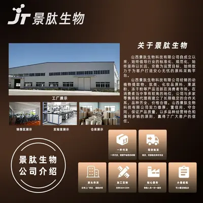 一水肌酸食品级粉末水溶性原料运动补剂化工粉景肽生物科技