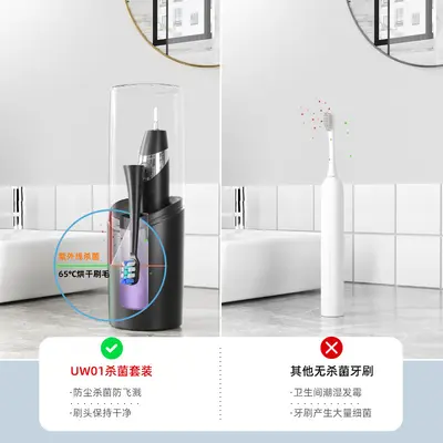 Portable Sonic Electric Toothbrush with UV Sterilization, Travel Set