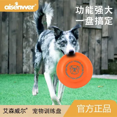 Pet Training Frisbee, Bite-Resistant Floating Dog Toy