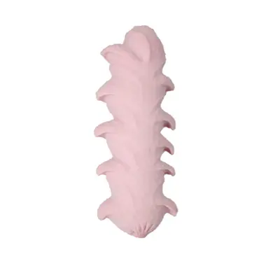 宠物玩具 磨牙健齿TPR火腿肠 实心啃咬玩具 耐磨耐咬猪蹄训练用品 - 8