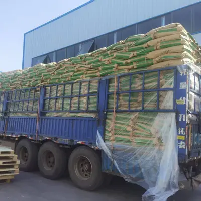 现货 大豆分离蛋白粉 SD100凝胶型/SD300分散型批发 大豆分离蛋白