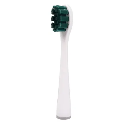 Replacement Brush Heads for US Series Electric Toothbrushes, Adult - 7