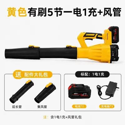 Lithium Battery Air Blower, Multi-Speed, for Dust and Snow Removal - 8