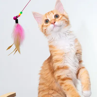 Steel Wire Feather Cat Teaser Wand with Bell