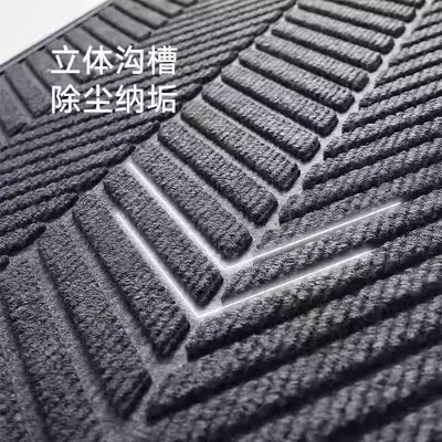 Entrance Door Mat, Water Absorbent, for Commercial and Hotel Entrances