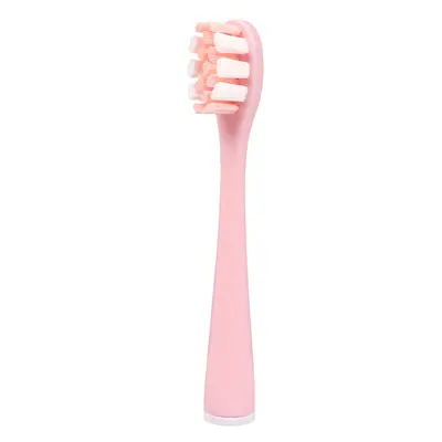 Replacement Brush Heads for US Series Electric Toothbrushes, Adult - 6