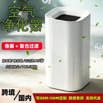 Cross-border USB Home Negative Ion Air Purifier Remove Smoke Formaldehyde Odor Pet Hair Air Purification Machine