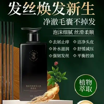 Siyah Lingzhi ve Ginseng Saç Bakım Sütü, Çok Etkili - 4