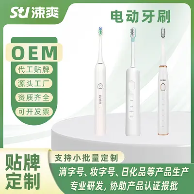 Sushuang Rechargeable Sonic Electric Toothbrush, OEM/ODM Customisation - 2