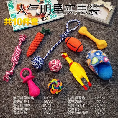 Dog Toy Set with Squeaky Ball, Durable Chew Toys - 4