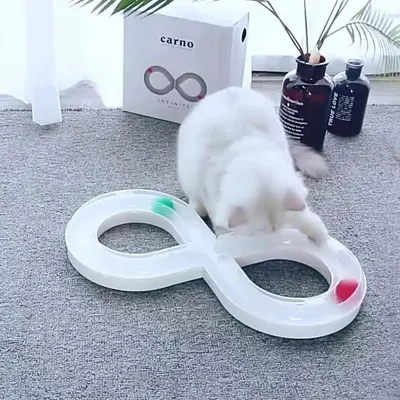 Figure-8 track interactive cat toy with ball set
