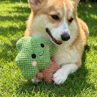 Brokkoli-Hundespielzeug mit Quietscher, zum Zahnen, für kleine bis mittelgroße Hunde