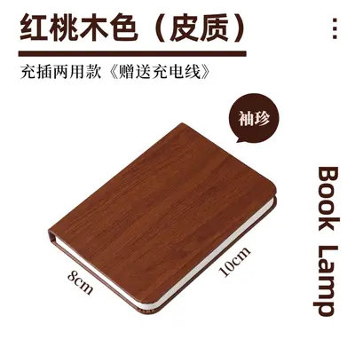 Magnetic Foldable Rechargeable USB Book Light - 10
