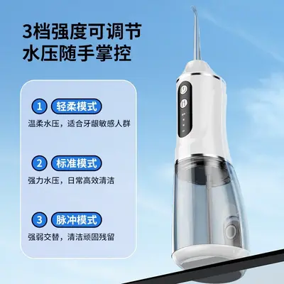 Portable Electric Water Flosser - 2