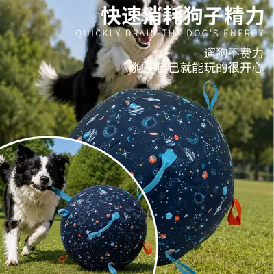 Inflatable Herding Dog Ball, Bite-Resistant Toy for Medium and Large Dogs - 3