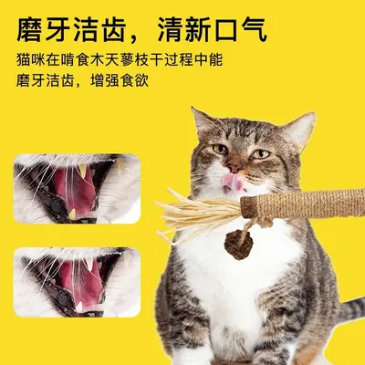 Catnip Ball Cat Toy for Teething and Self-Play, Durable and Bite-Resistant - 5