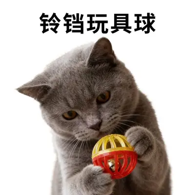 Katzenspielball mit hohlem Glöckchen zur Selbstbeschäftigung