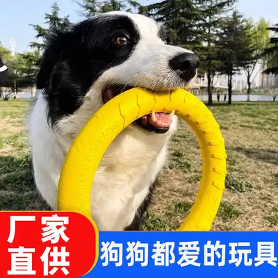 Büyük Irk Köpek Oyuncağı Topu, Frizbi Halka, Diş Kaşıma Dayanıklı