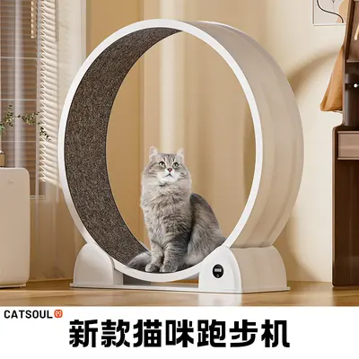 Akıllı dijital göstergeli ABS kedi koşu tekerleği, büyük çap, sessiz