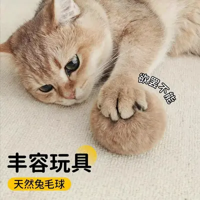 Rabbit Fur Plush Cat Ball, Scratch and Bite Resistant, Silent Interactive Toy - 4
