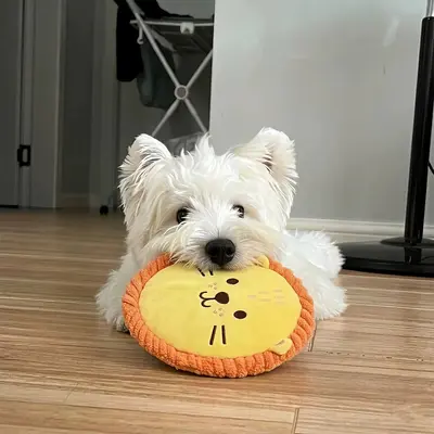 Squeaky Dog Frisbee Toy, Durable Chew and Training Toy - 1