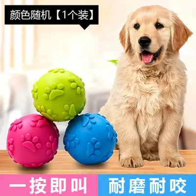Durable Puppy Teething Training Ball with Squeaker - 7