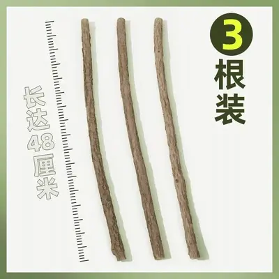 48 cm Long Stick Silvervine Cat Chew Toy with Catnip - 9