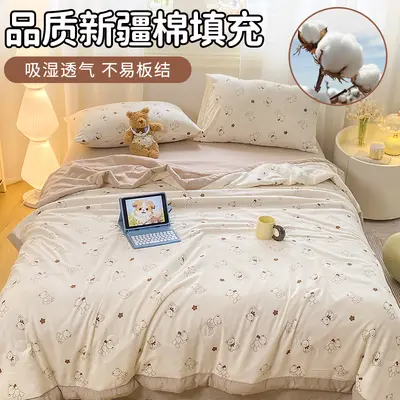 Klasse-A leichte frische Baumwollwäsche Bettdecke aus Xinjiang-Baumwolle für grenzüberschreitenden Handel, nicht ausverkauft, Sommerleichte Bettdecke, Einzelbett und Doppelbett, Klimaanlage-Bettdecke, Großhandel