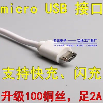 Micro USB Type-C Veri Kablosu 2 Metre 2A Hızlı Şarj - 10