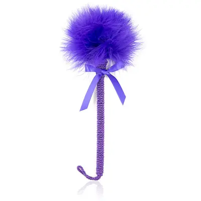 Feather Teaser Wand, Cat Toy, Pet Play Accessory - 11