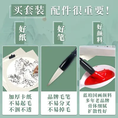 Chinesisches Malerei-Pigmentset, 12 Farben, Anfängerset mit Werkzeugen - 3