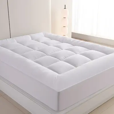 Thickened Soft Solid Color Mattress Pad for Dormitory and Bedroom