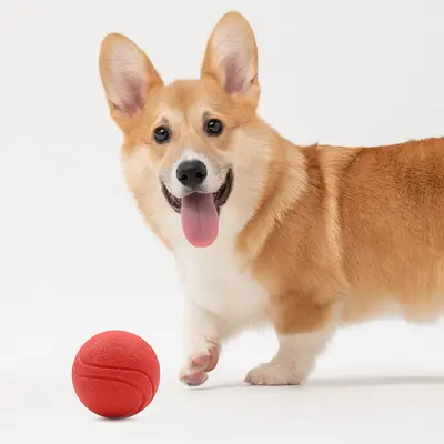 Solid Rubber Dog Ball, Durable, for Medium and Large Dogs - 3