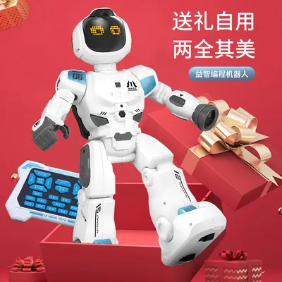 Children's Remote Control AI Programming Robot, Talking Smart Toy