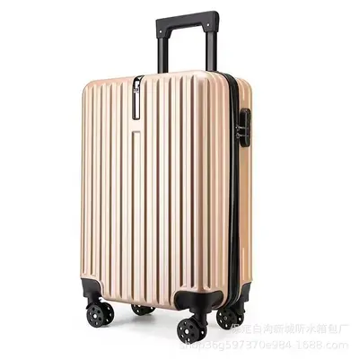 20 Inch Cabin Size Spinner Suitcase, Lightweight, Multi-Directional Wheels - 5
