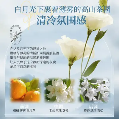 Anti-Dandruff Shampoo with Oil Control and Anti-Itch, for Men and Women - 5