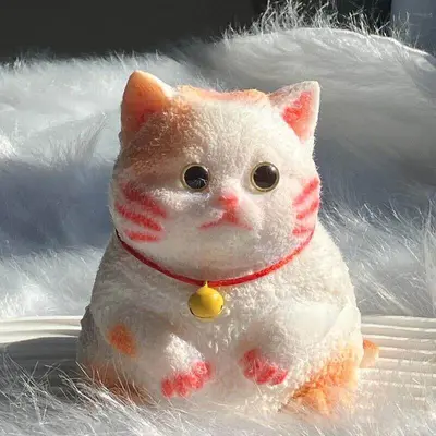 Hand-Painted Giant Chubby Cat Squishy Stress Relief Toy, DIY - 9