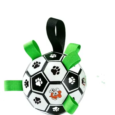 Rubber Chew Ball Dog Toy for Small and Medium Dogs and Puppies - 6
