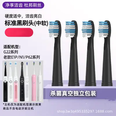 Replacement Toothbrush Heads for Sakypro Shuke, Compatible with G22/G23/G33/G32/T2 - 8
