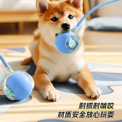 狗狗玩具自动遛狗球耐咬自嗨解闷宠物电动智能逗狗小狗跳跳球