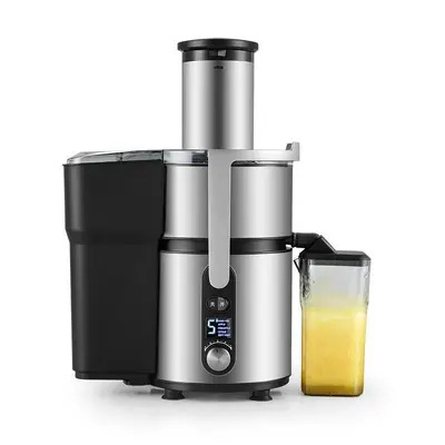 Fruit juicer, fully automatic, large-capacity, commercial