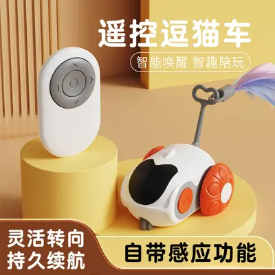 Gravity Smart Remote Control Rechargeable Cat Toy Car