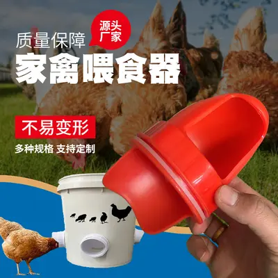 Gravity poultry feeder and automatic water container for chickens and ducks