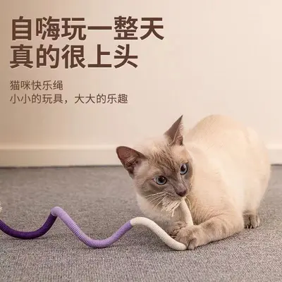 Katzen-Kauseil-Spielzeug und Federangel - 3
