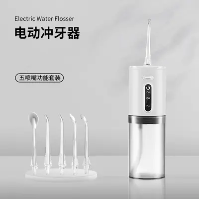 Portable Adult Electric Water Flosser for Home Use